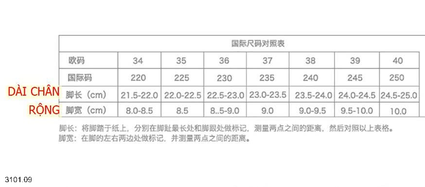 26HA3101.09 - GIÀY BỆT MARRY JANE NỮ