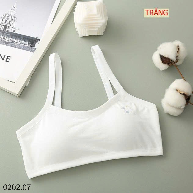 26HA0202.07 - SET 2 ÁO NGỰC CHO BÉ GÁI MỚI LỚN