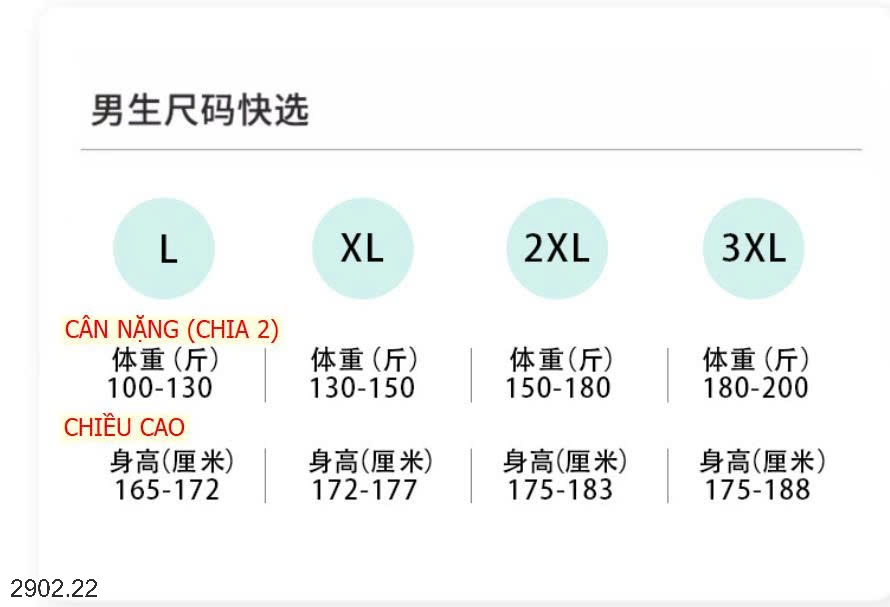 26HA2902.22 - BỘ MẶC NHÀ COTTON NAM