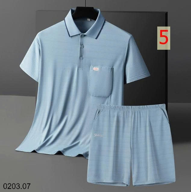 26HA0203.07 - BỘ POLO LỤA BĂNG TRUNG NIÊN