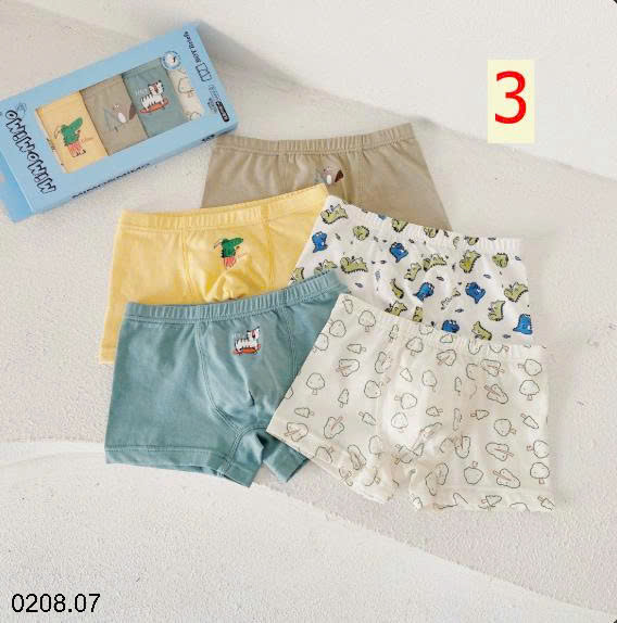 26HA0208.07 - SET HỘP QUẦN CHÍP MOMO BÉ TRAI