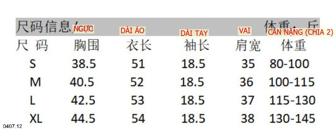 26HA0407.12 - ÁO THUN HÃNG HELLO VAVA CỔ ĐIỆU