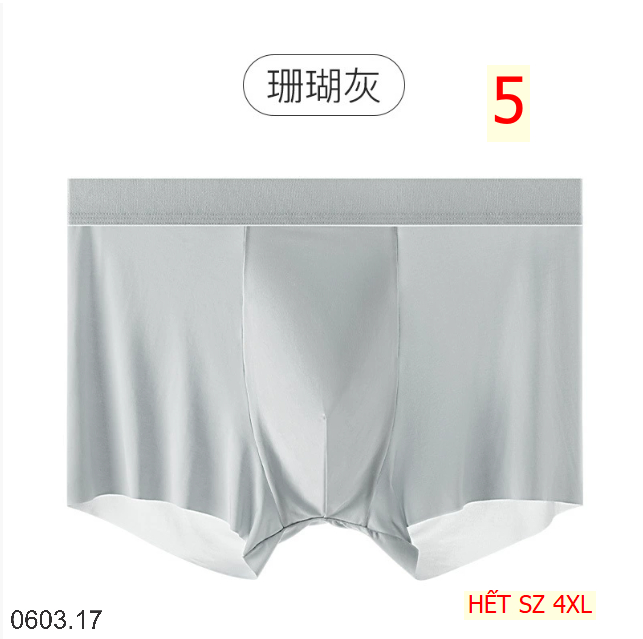 26HA0603.17 - SET 2 QUẦN SỊP LỤA BĂNG