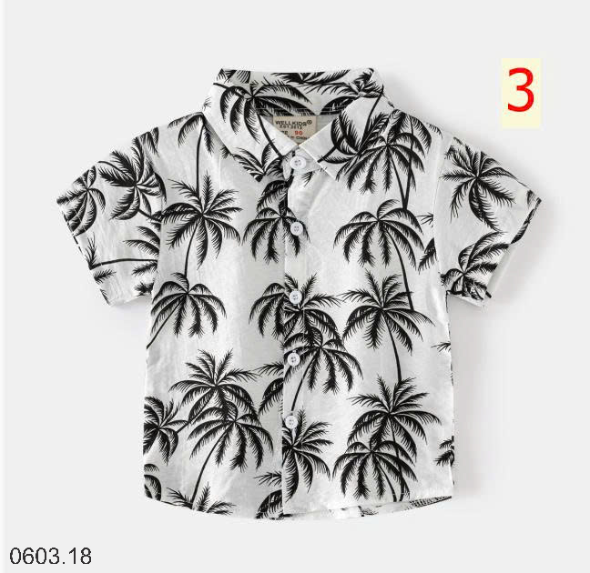 26HA0603.18 - BST SƠ MI ĐI BIỂN WELLKIDS