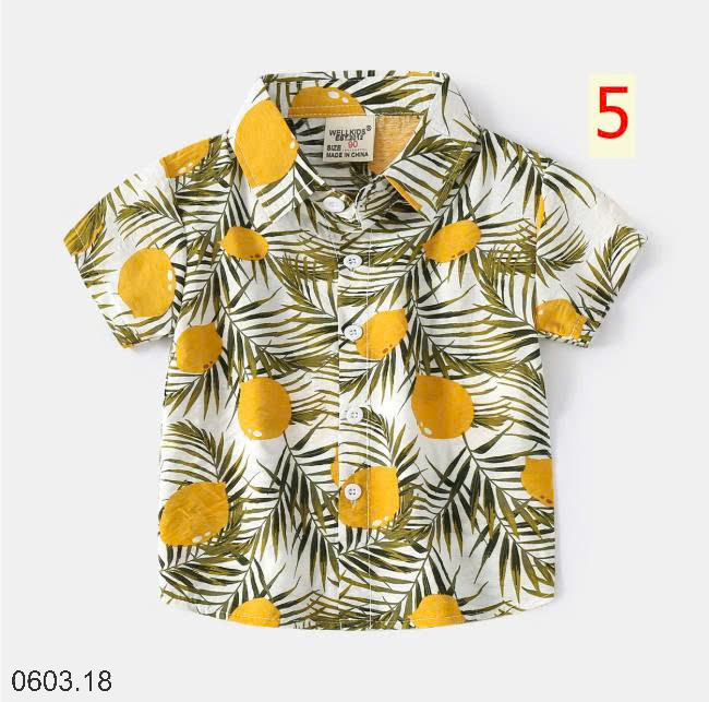 26HA0603.18 - BST SƠ MI ĐI BIỂN WELLKIDS