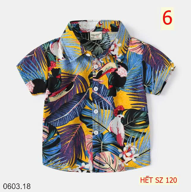 26HA0603.18 - BST SƠ MI ĐI BIỂN WELLKIDS