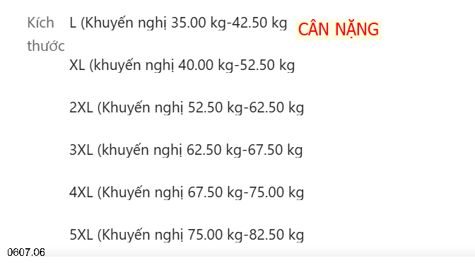 26HA0607.06 - BỘ TRUNG NIÊN QUẢNG CHÂU TẶNG BÀ