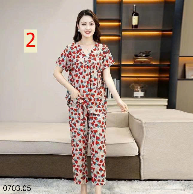 26HA0703.05 - BỘ LANH MẶC NHÀ NỮ
