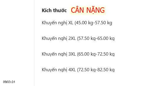 26HA0903.01 - SET BỘ TRUNG NIÊN QUẦN ĐEN CHO MẸ
