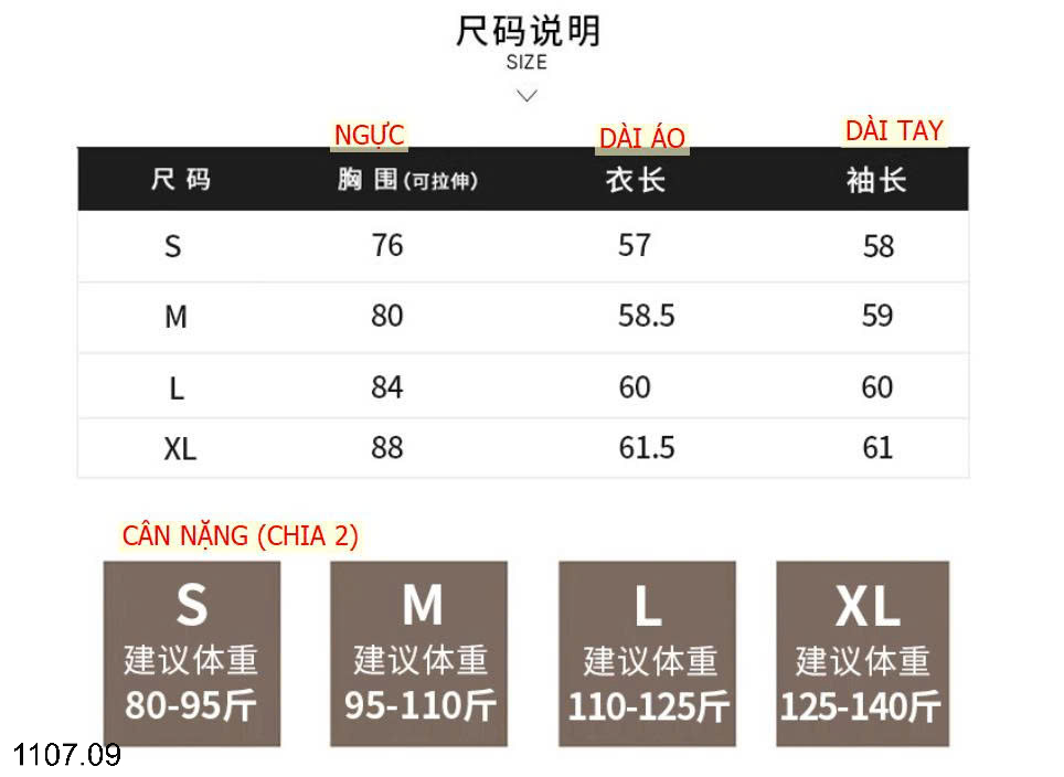 26HA1107.09 - ÁO THUN TRỄ CỔ CHO NỮ
