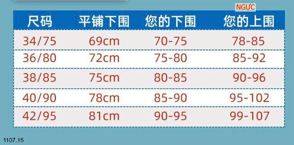 26HA1107.15 - SET 2 ÁO LÓT CHO NỮ
