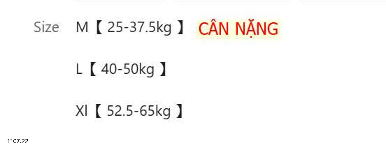 26HA1107.22 - SET 2 ÁO LÁ ĐỆM NGỰC CHO BÉ GÁI