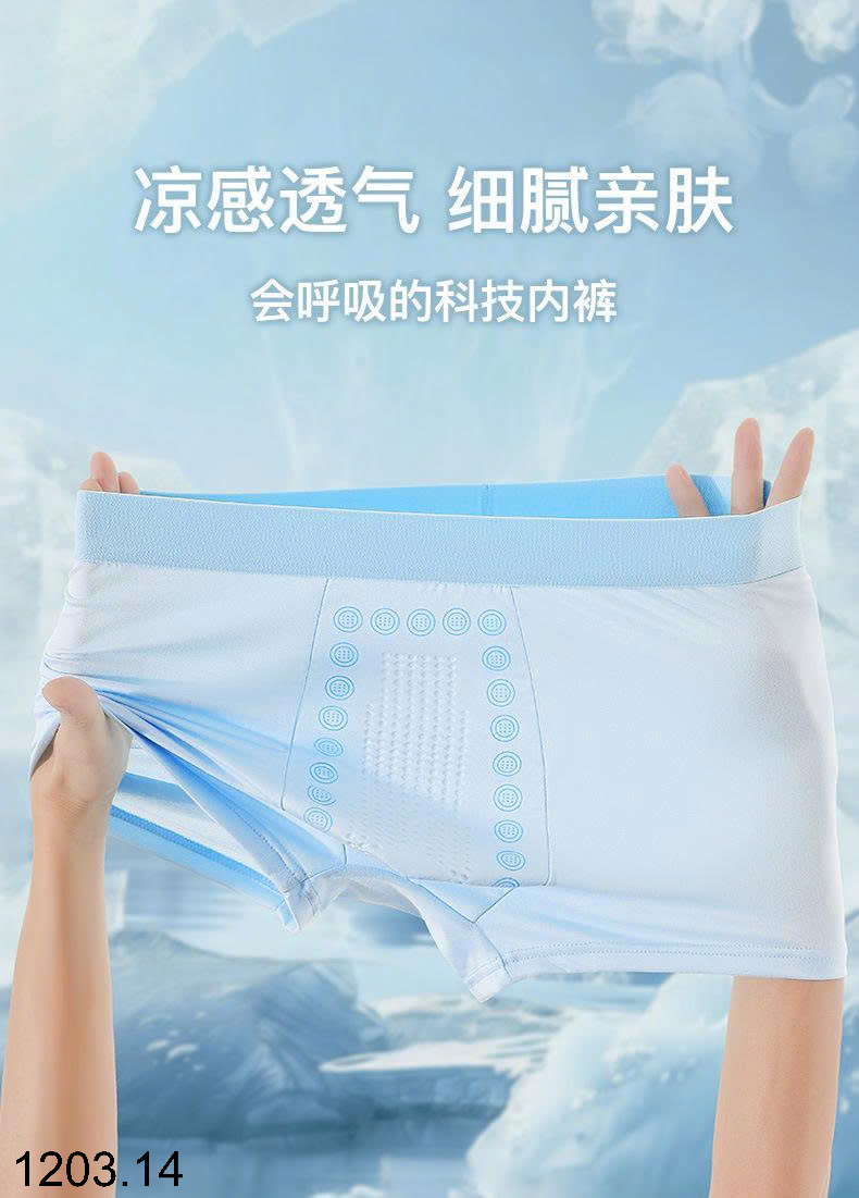 26HA1203.14 - SET 5 SỊP ĐÙI NAM