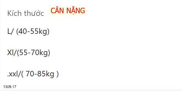 26HA1309.17 - SET 2 QUẦN LÓT GEN BỤNG CHO NỮ