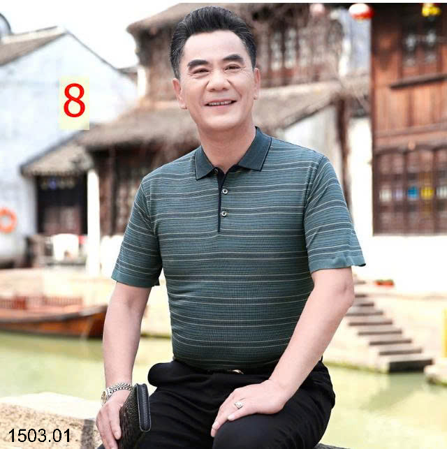 26HA1503.01 - ÁO POLO NAM TRUNG NIÊN