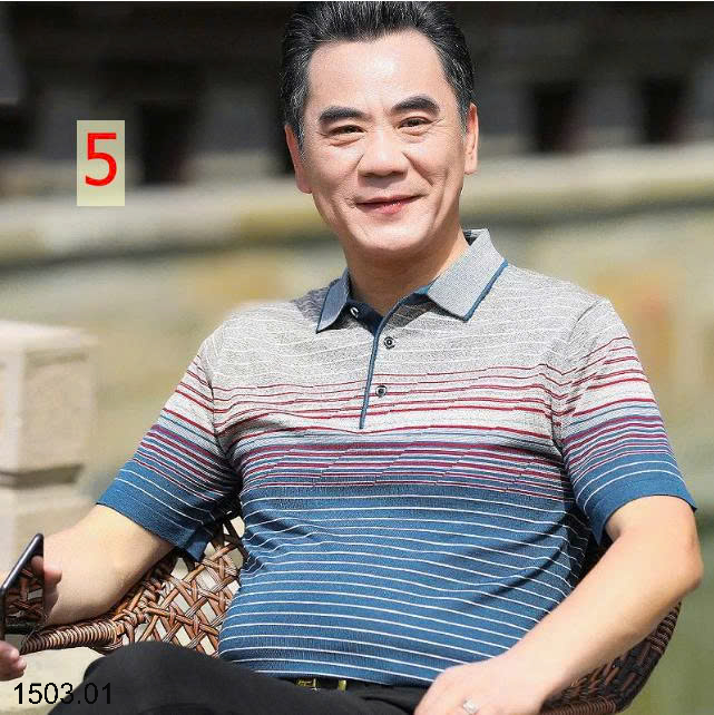 26HA1503.01 - ÁO POLO NAM TRUNG NIÊN