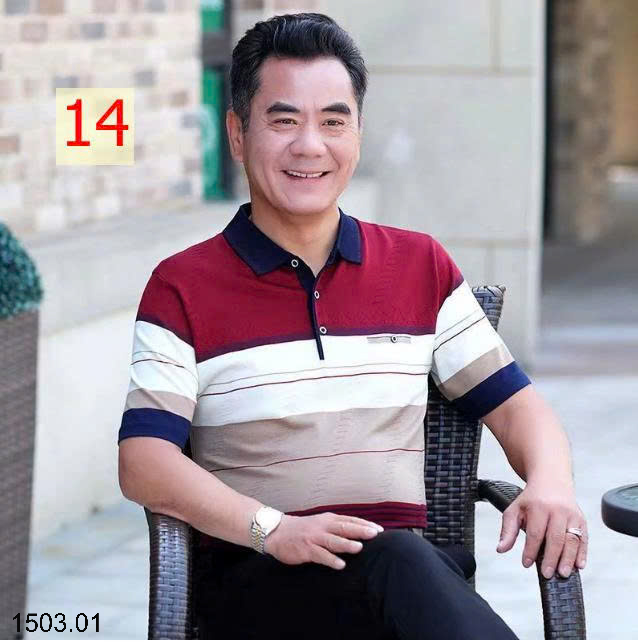 26HA1503.01 - ÁO POLO NAM TRUNG NIÊN