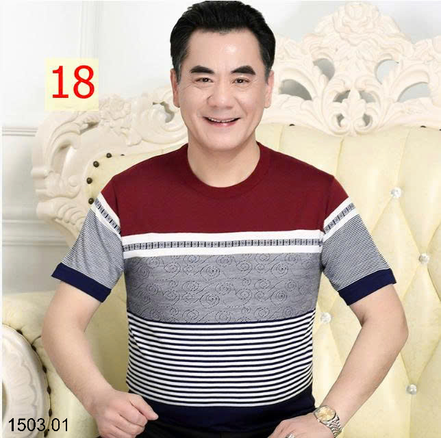 26HA1503.01 - ÁO POLO NAM TRUNG NIÊN