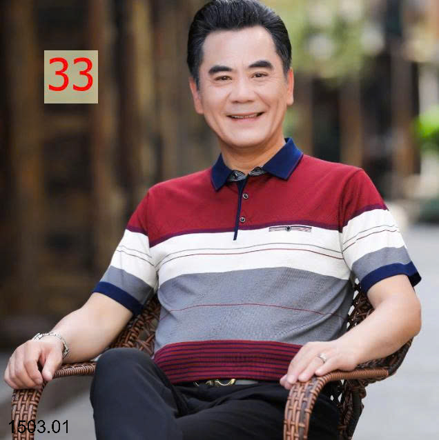 26HA1503.01 - ÁO POLO NAM TRUNG NIÊN