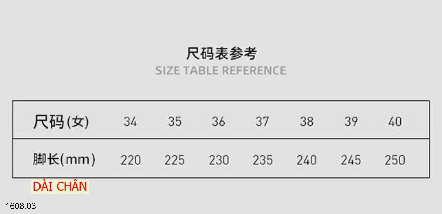 26HA1608.03 - SỤC HỒNG WARRIOR