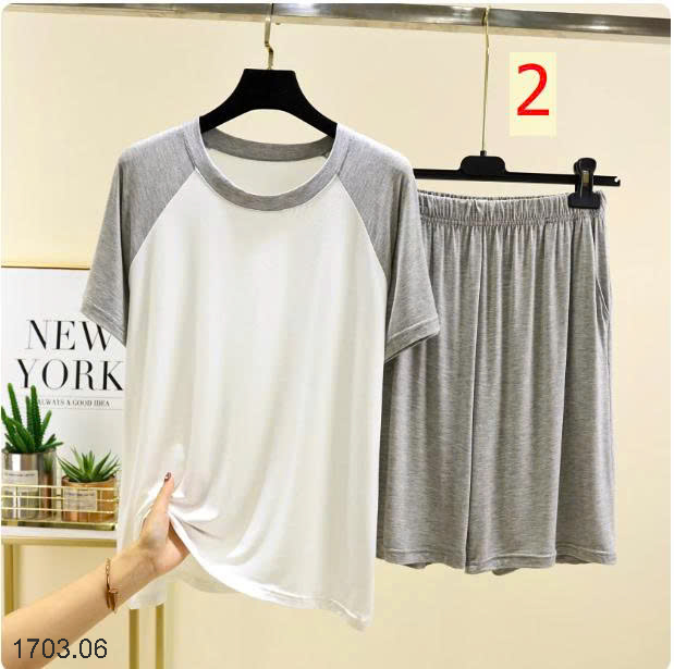 26HA1703.06 - BỘ GIÁP LĂNG NAM MẶC NHÀ