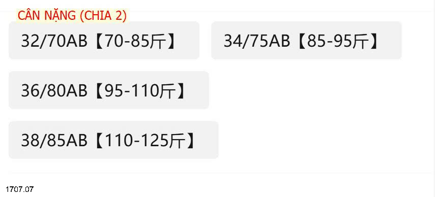 26HA1707.07 - SET 2 ÁO LÓT CHO NỮ