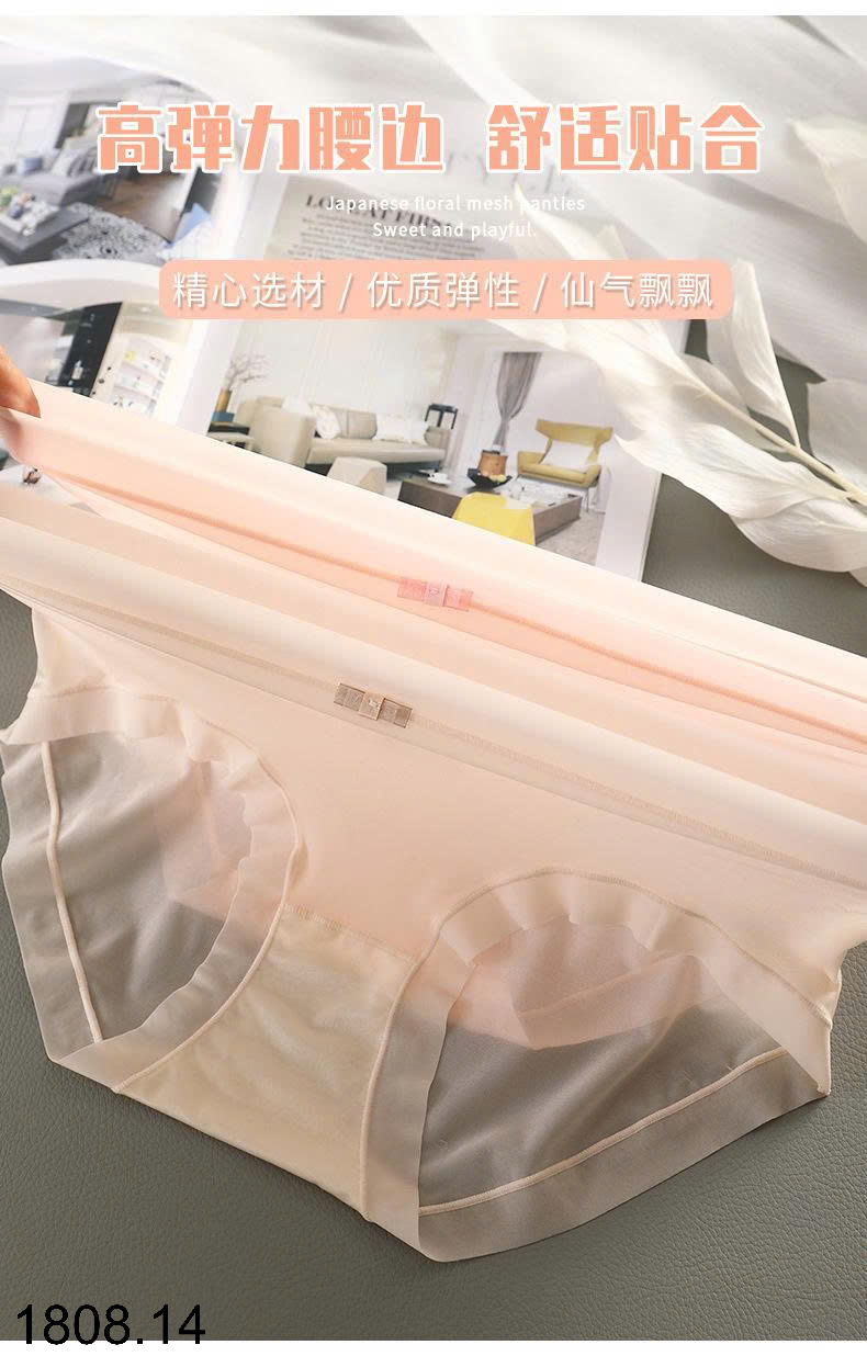 26HA1808.14 - SET 10 QUẦN CHÍP CHO NỮ