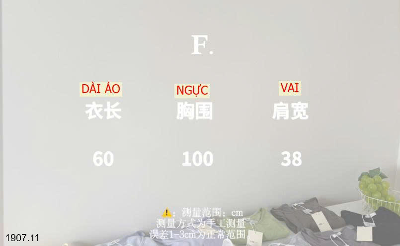 26HA1907.11 - ÁO THUN CỘC TAY CỔ TRÒN EGG