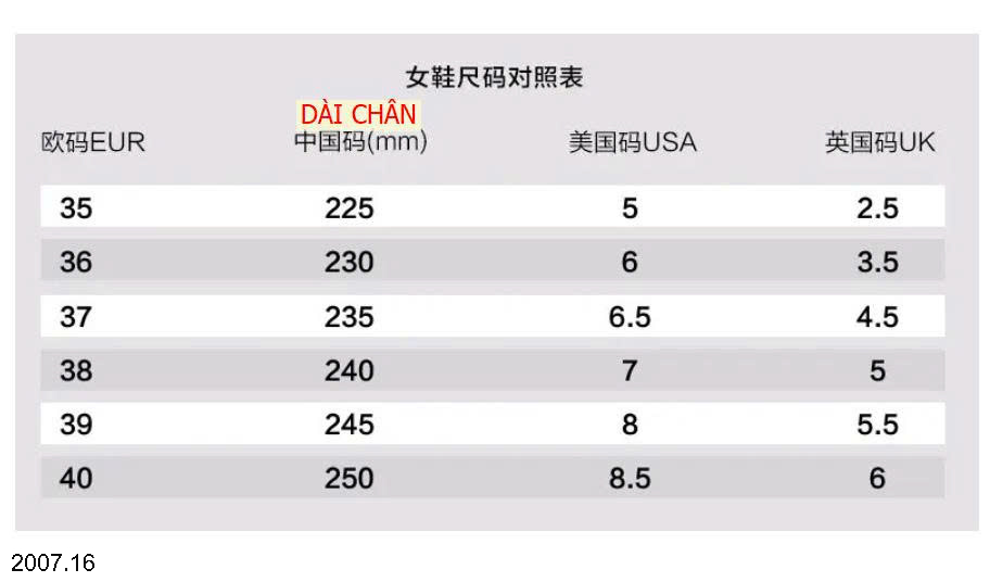 26HA2007.16 - SỤC THỂ THAO VẠCH SỌC CHO NỮ