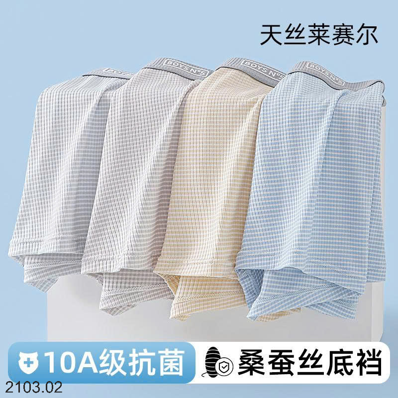 26HA2103.02 - SET 4 SỊP ĐÙI NAM