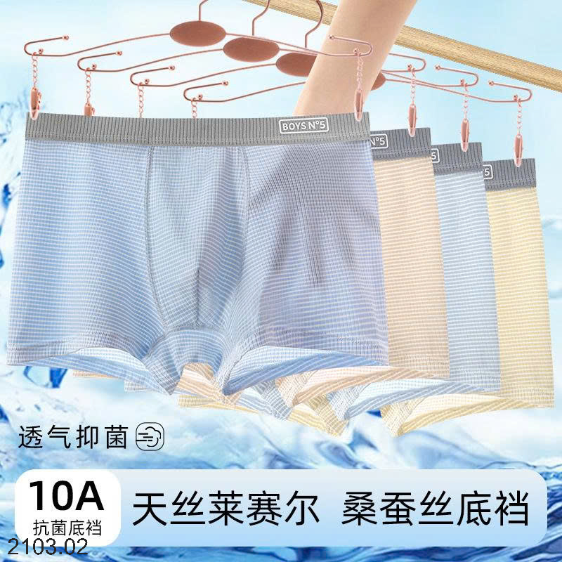 26HA2103.02 - SET 4 SỊP ĐÙI NAM