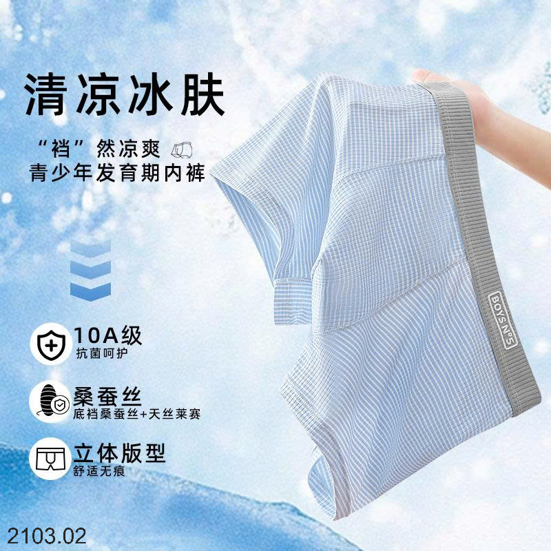 26HA2103.02 - SET 4 SỊP ĐÙI NAM