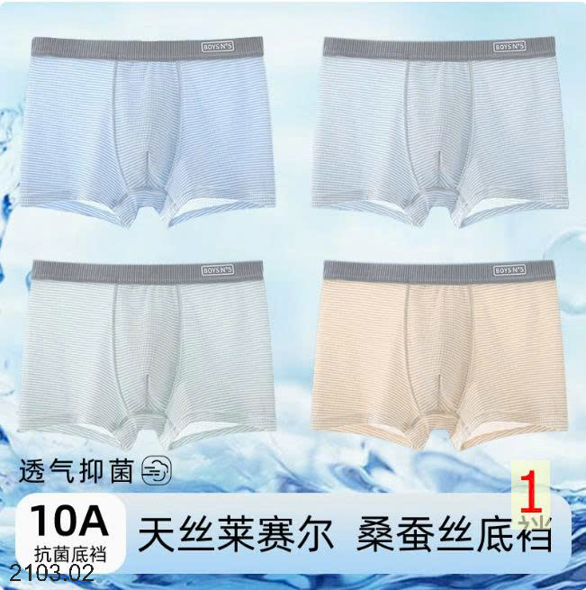 26HA2103.02 - SET 4 SỊP ĐÙI NAM