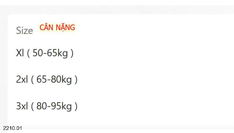 26HA2210.01 - ÁO GIỮ NHIỆT NAM MSUSU