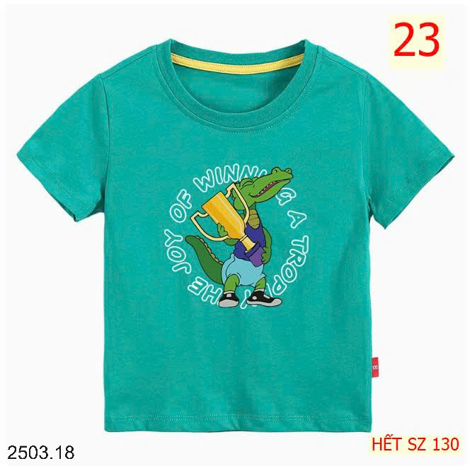 26HA2503.18 - ÁO PHÔNG COTTON BÉ TRAI SIZE ĐẠI