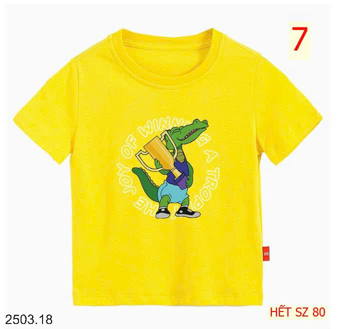 26HA2503.18 - ÁO PHÔNG COTTON BÉ TRAI SIZE ĐẠI