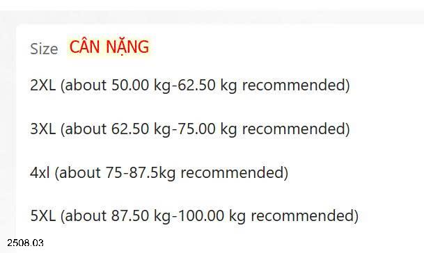26HA2508.03 - ÁO GILE PHAO NAM