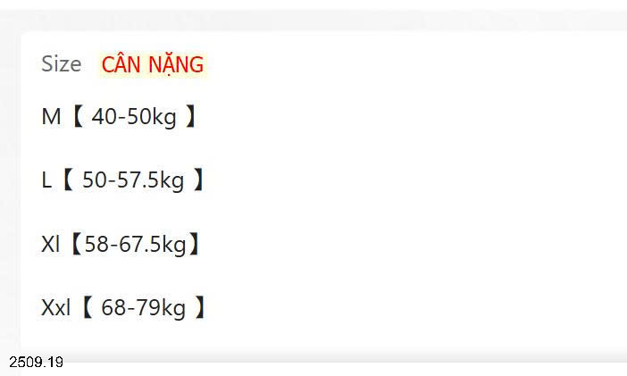 26HA2509.19 - BỘ NỈ TRƠN MÀU VIỀN REN CHO NỮ