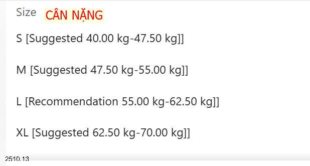 26HA2510.13 - CHÂN VÁY NGẮN XẾP LI HÀNG QC