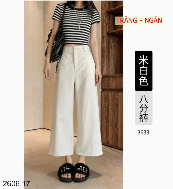 26HA2606.17 - QUẦN ỐNG RỘNG NỮ