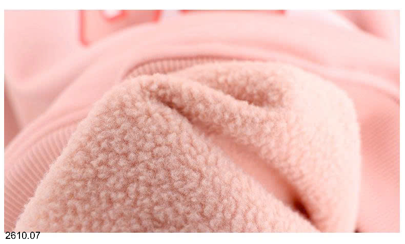 26HA2610.07 - ÁO NỈ HODDIE LÓT LÔNG BÉ GÁI AKL