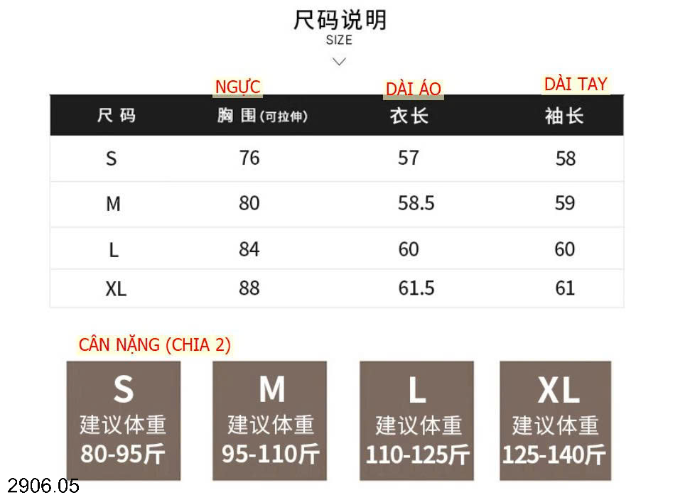 26HA2906.05 - ÁO THUN TRỄ CỔ CHO NỮ