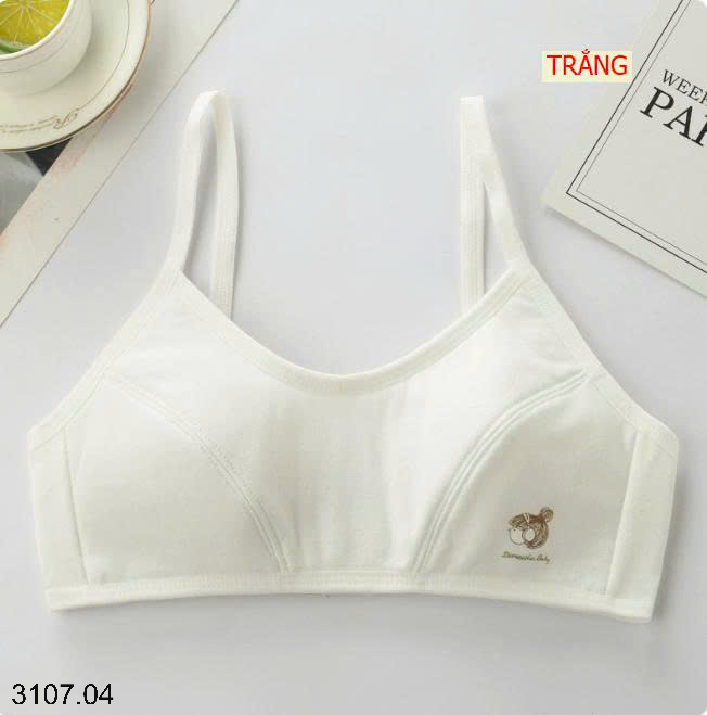 26HA3107.04 - SET 3 ÁO BRA BÉ GÁI