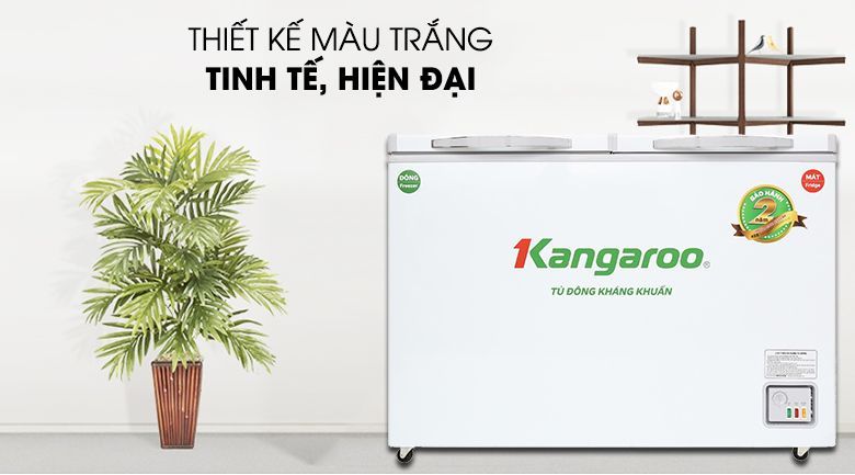 Tủ đông Kangaroo 252 lít KG 400NC2