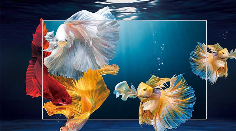 Tăng cường tương phản - Android Tivi OLED Sony 4K 55 inch XR-55A80J