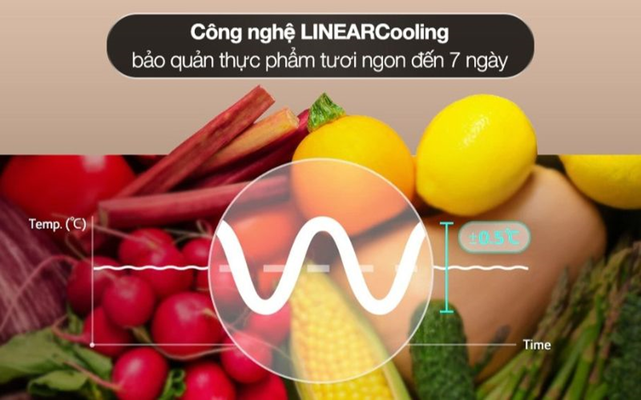 TU-LANH-LG-INVERTER-266L-LTB26SVM-1.png?v=1773740787
