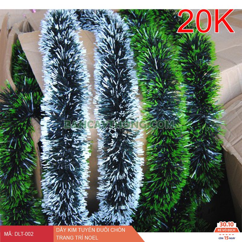 dlt_002_day_duoi_chon_a.jpg