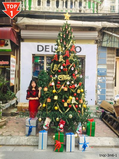 combo cây thông noel xanh trơn cao 3m6 lượn sóng vàng đỏ