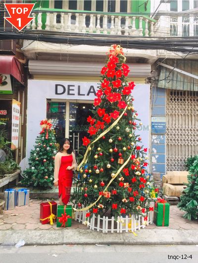 combo cây thông noel xanh trơn hoa nơ châu xoắn ốc 3m6