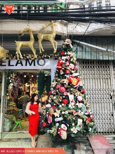 Combo cây thông noel 3m6 SG Kẹo đỏ siêu to